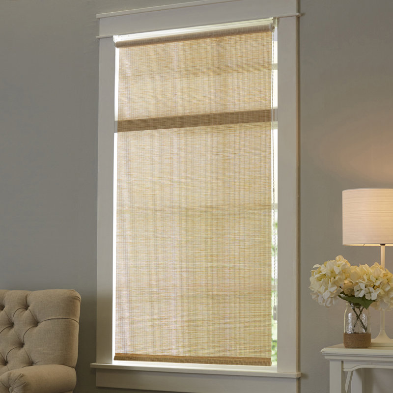 Sparks Continuous Loop Roller Shade & Reviews Joss & Main